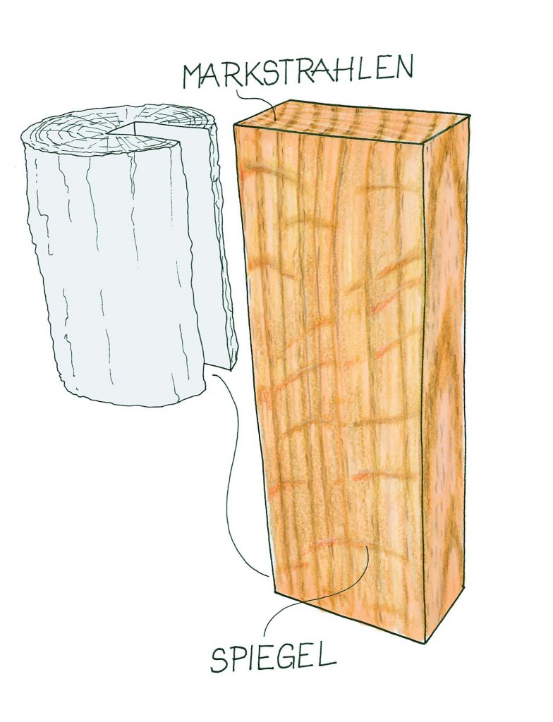 Ein Blick in den Spiegel. Illustration: Willi Brokbals