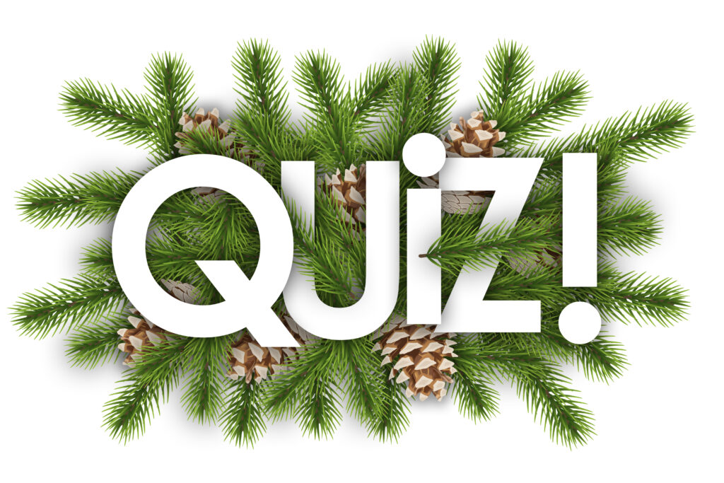 Foto Quiz