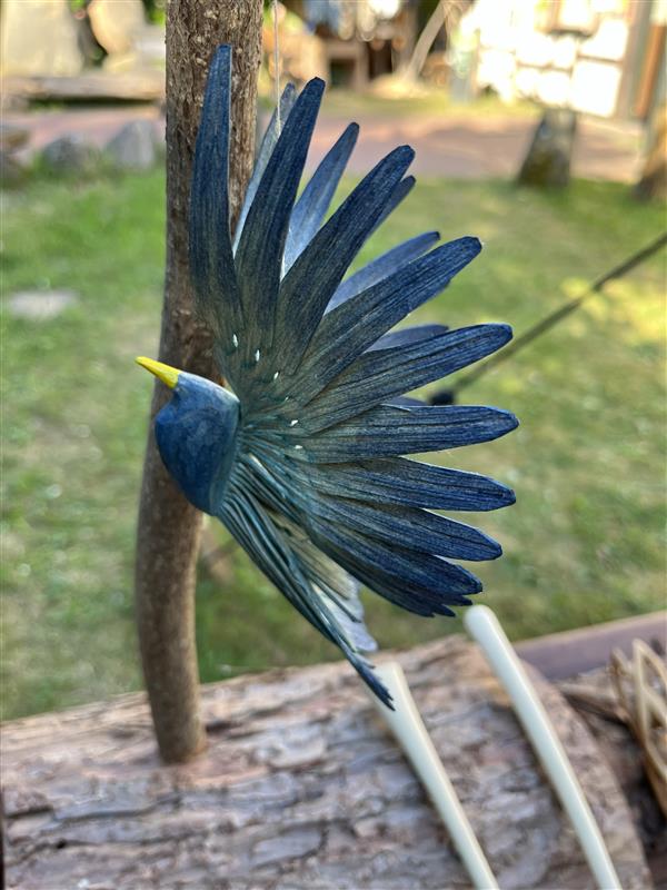 Ein blau eingefärbter Fächervogel hängt vor einem Ast und zeigt seine langgestreckten Federn.