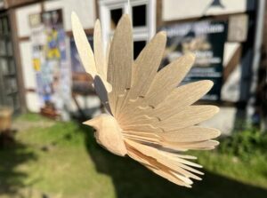 Fächervogel von der Seite im Sonnenschein.