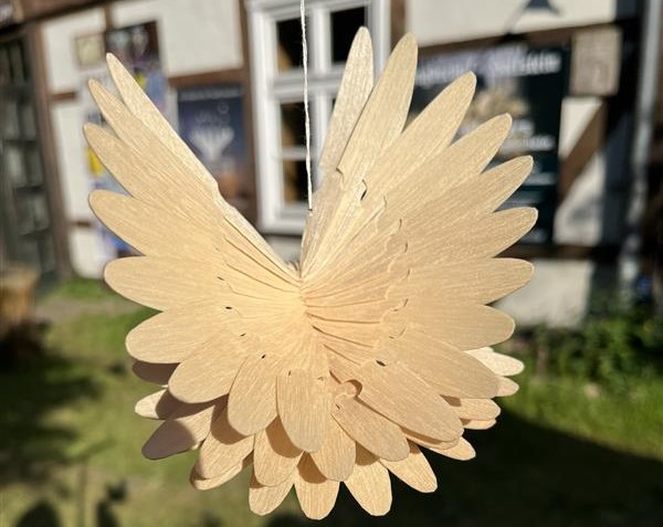 Fächervögel sehen von allen Seiten attraktiv aus. Ein Fächervogel hängt im Sonnenschein vor einem Fachwerkhaus. Seine ausgebreiteten Flügel sind von hinten zu sehen.