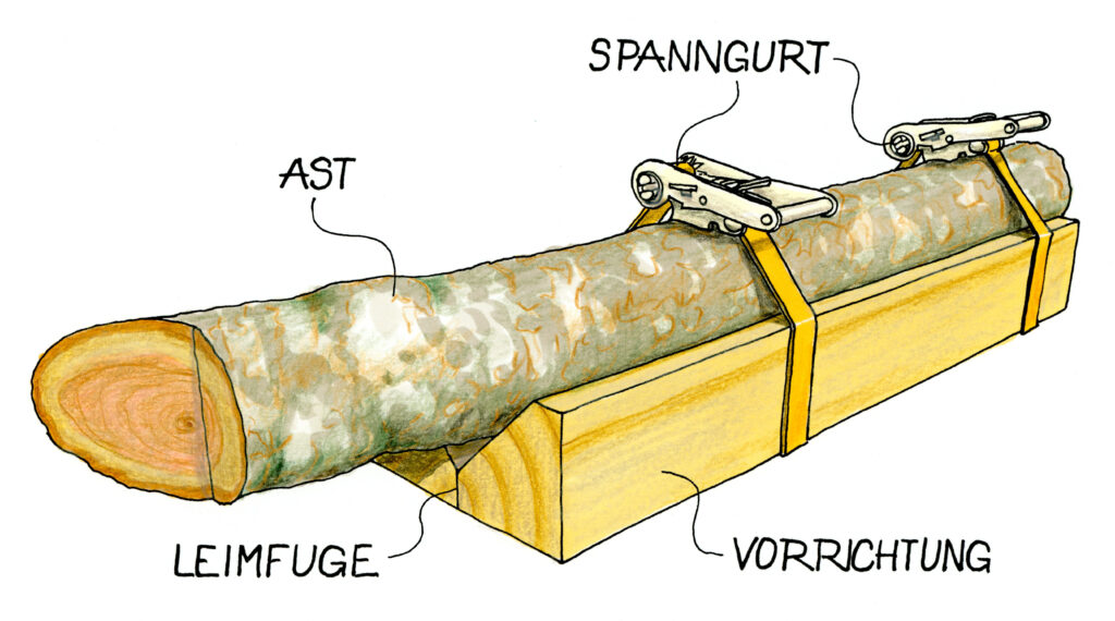 Illlustration, wie man einen Ast auf der Bandsäge mit Hilfe eines Bretts sicher ablängt.