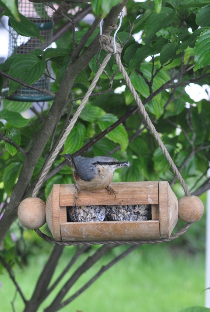 Ein Projekt aus HolzWeken 118 ist ein gedrechselter Futterspender für Vögel. Dieses röhrenförmige Objekt hängt im Baum. Ein kleiner Vogel sitzt obendrauf mit etwas Futter im Schnabel.