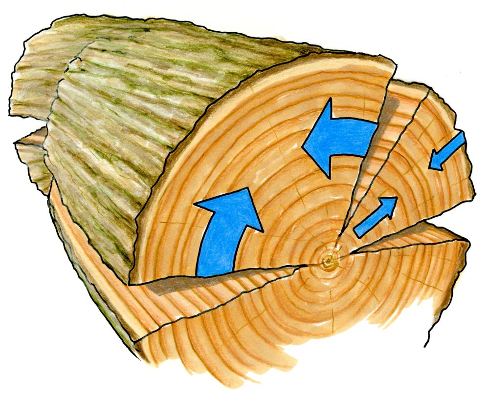 Eine ZEichnung von einem liegenden Baumstamm, auf der unteren Schnittfläche sind blaue Pfeile auf dem Stirn-Holz eingezeichnet.