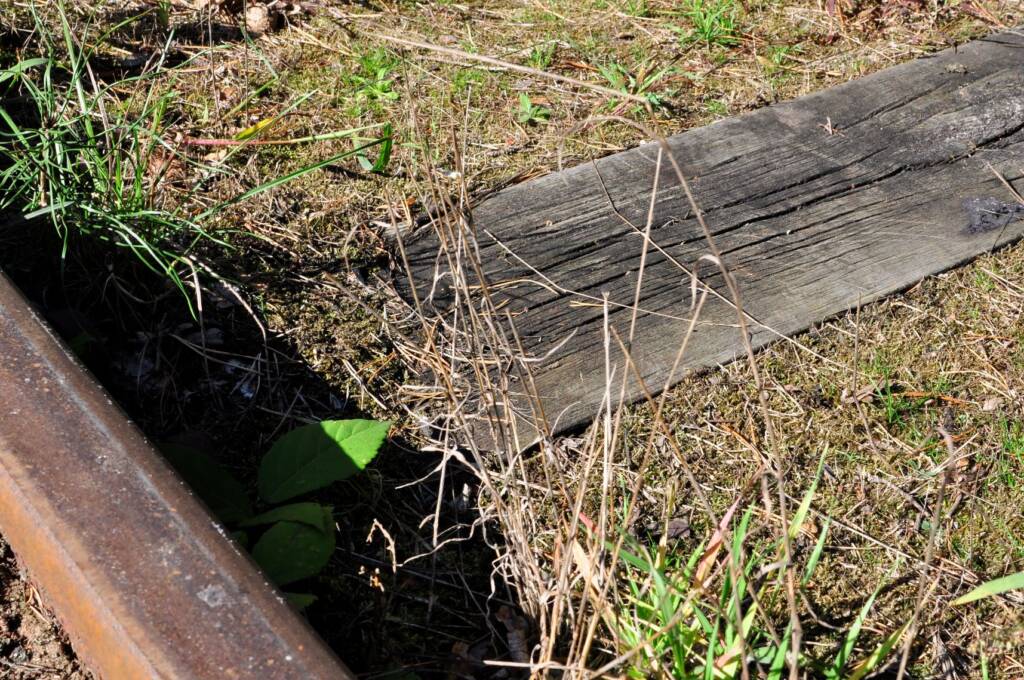 Eine verwitterte Bahnschwelle neben einem verrosteten Schienenstück, umgeben von trockenem Gras und Moos.