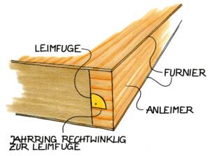 Querschnitt einer Holzplatte mit Leimfuge, rechtwinkligem Jahrring, Furnier und angesetztem Anleimer.