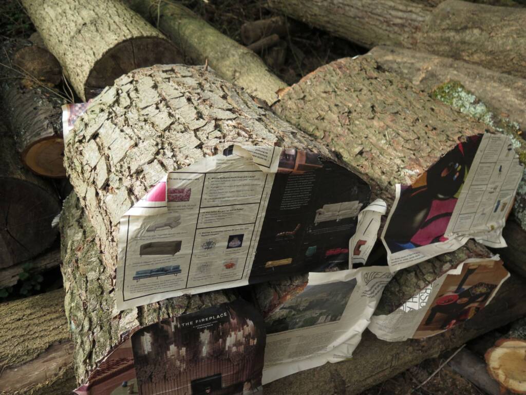 Mit Zeitungsseiten umwickelte Holzstücke liegen auf einem Stapel gefällter Baumstämme.
