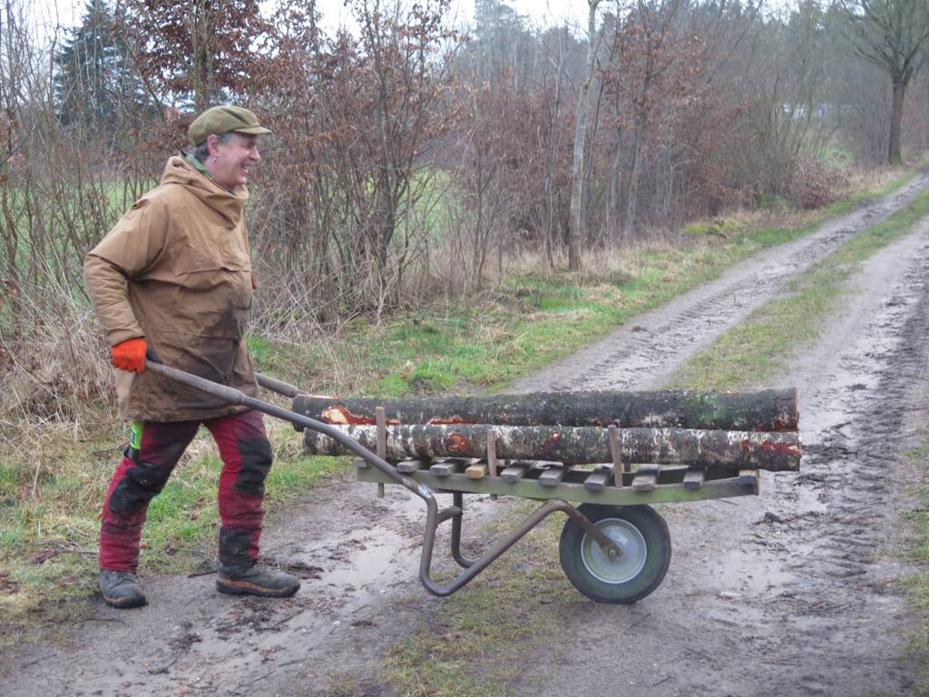 Person zieht auf einem Waldweg eine Schubkarre mit mehreren kurzen Baumstämmen.
