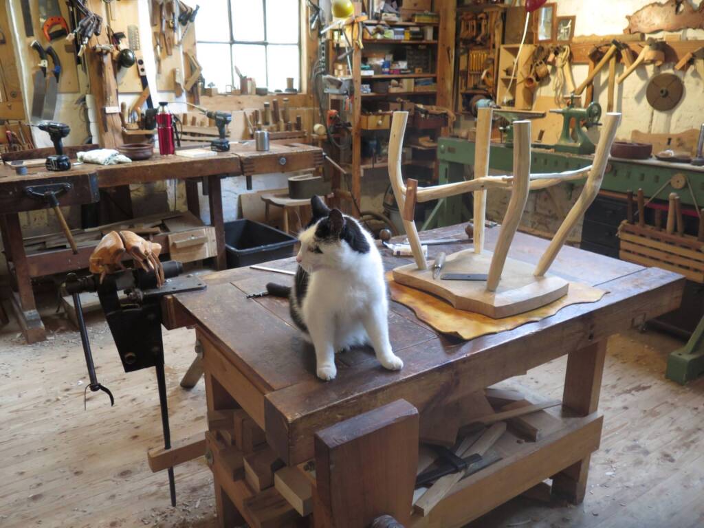 Ein teilweise montiertes Holzgestell steht auf einer Werkbank in einer Holzwerkstatt. Daneben sitzt eine schwarz-weiße Katze auf der Arbeitsfläche. Im Hintergrund sind zahlreiche Werkzeuge und Maschinen ordentlich angeordnet.